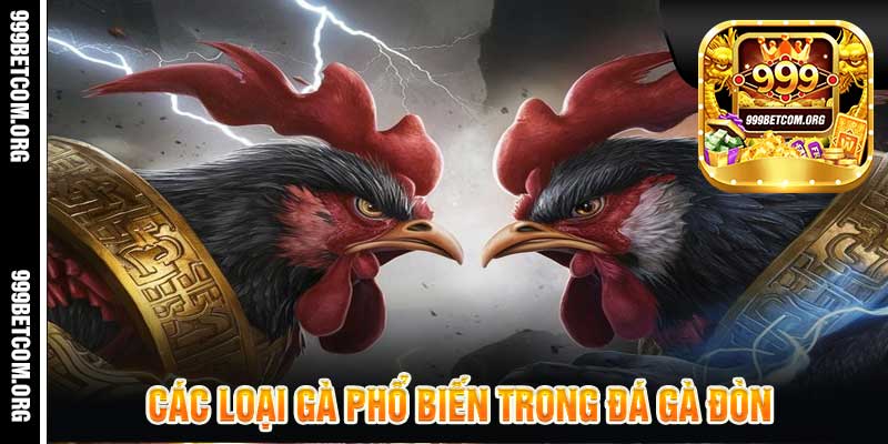 Các loại gà phổ biến trong đá gà đòn