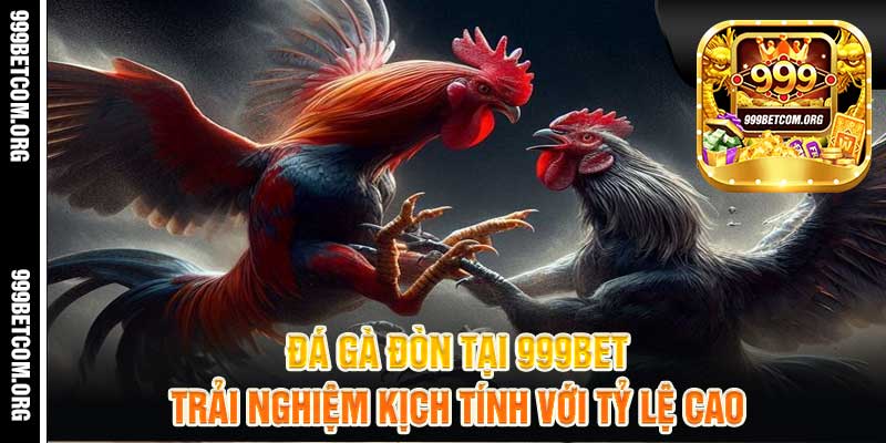 Đá Gà Đòn Tại 999bet Trải Nghiệm Kịch Tính Với Tỷ Lệ Cao