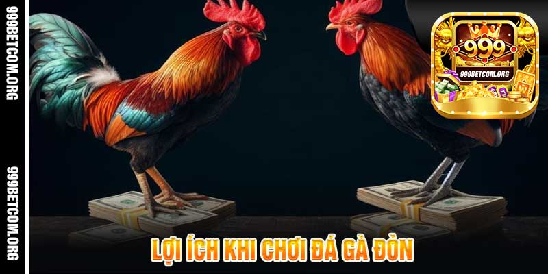 Lợi ích khi chơi đá gà đòn